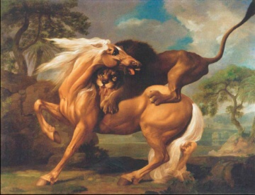 Lev in konj